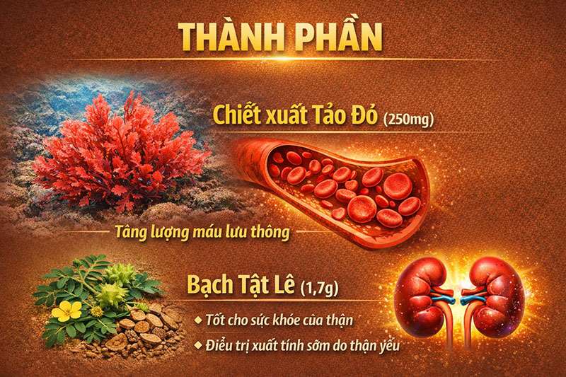 Review Thuốc cường dương Rocket 1h cải thiện sinh lý nam  cao cấp